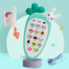 Early Childhood Educational Multi-Function Simulation Toy