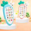 Early Childhood Educational Multi-Function Simulation Toy